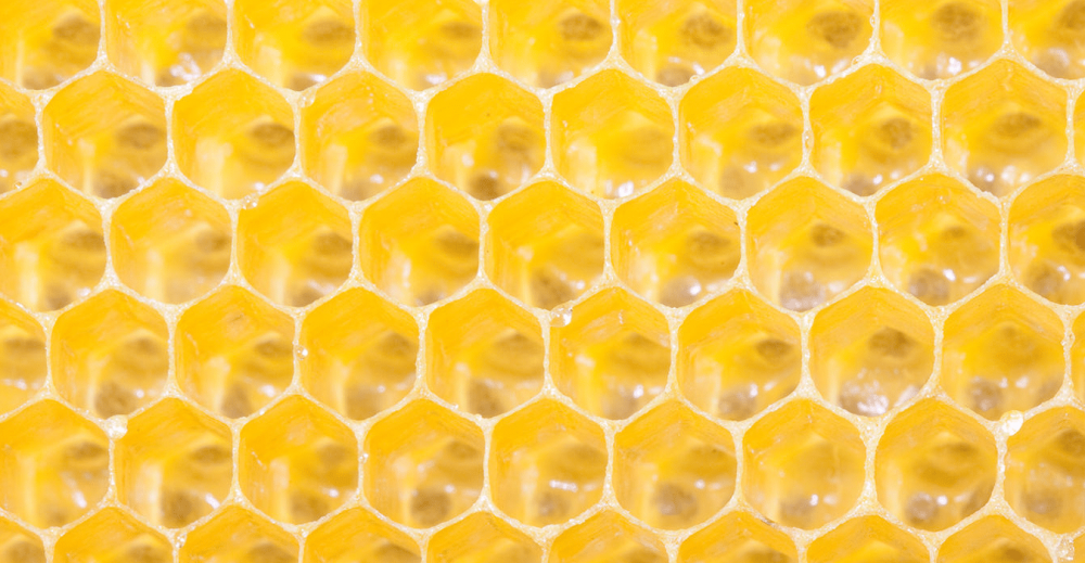 Kerzenworkshops im Zeidel-Museum